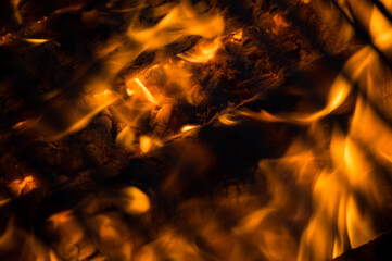 Locos por la carne asada