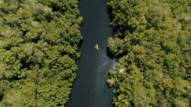 Kayaking On Lagoon And Mangrove Forest In El Paredon, Guatemala At Daytime - aerial top down