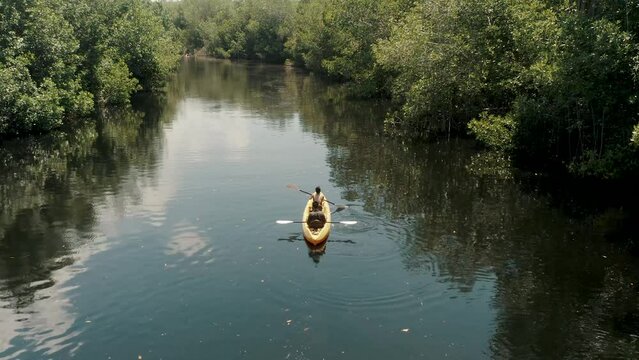 Tourist Kayaking At Mangrove Lake Forest In El Pared&oacute;n, Escuintla, Guatemala. Aerial Drone Shot