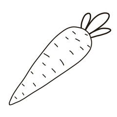 illustration of carrot