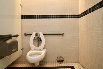 Handicap Bathroom Stall with Toilet and Toilet Paper Holder and Protective Tissue Holder