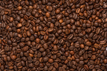 Close up,Roasted Cocoa beans or Aromatic Cocoa beans for coffee drink.