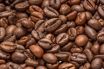 Close up,Roasted Cocoa beans or Aromatic Cocoa beans for coffee drink.