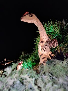 Dinosaurio espiando 