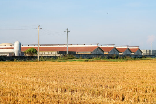Stalla