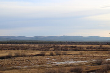 autumn landscape with trees