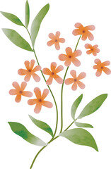 Orange watercolor flower branch illustration