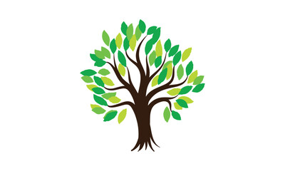 Obraz premium Organic natural and healthy olive tree silhouette logo isolated on white background. Modern vector green plant icon sign design artwork. Premium quality oil product logotype flat emblem illustration.