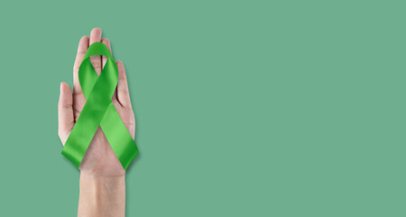 Lime green ribbon for Mental health illness, Lymphoma Cancer Awareness, Lyme Disease, Spinal Cord Injuries, Kabuki Syndrome
