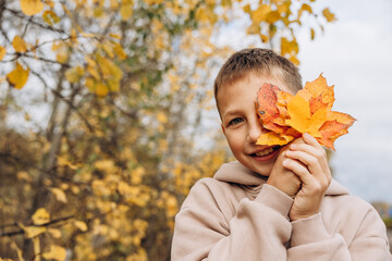 Teenager boy hiding his eyes behind maple leaves. Child holding yellow autumn leaves in his hands. Teen having fun on walking in autumn park. Selective focus