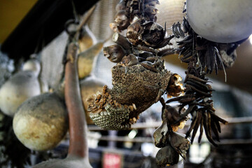 Old objects in a thrift store in Israel.
