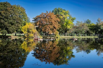 Fototapeta premium autumn scenery on a quiet day at a water pond in the city park of Skopje