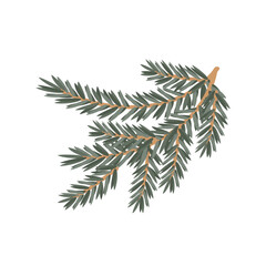 Branch of spruce pine is fluffy with green needles, for decoration for the holiday. Vector clipart, isolated illustration on a white background for decorating postcards, banners, leaflets