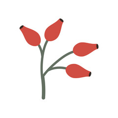 Bush of red autumn ripe rosehip berries on a branch. Vector clipart, isolated illustration on a white background. For a holiday card, banner, designer decor