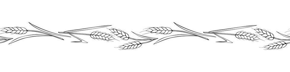 Vector edging, ribbon, border from outline wheat spikelets ears in doodle style. Autumn ornament, seamless pattern, decorative element on theme of bakery products, flour, harvest, Thanksgiving