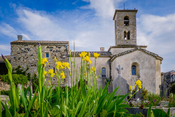view on the romanesque Saint Pierre de Sauveplantade church, the smallest church of France (in Ardeche), with yellow flag iris in the foreground