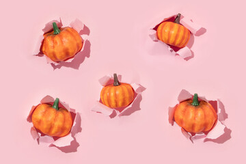 Autumn halloween creative pattern made with pumpkins pop up from pastel baby pink background. Vintage retro aesthetic 80s or 90s fashion fruit concept. Minimal autumn season food idea.