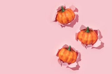 Autumn halloween creative pattern made with pumpkins pop up from pastel baby pink background. Vintage retro aesthetic 80s or 90s fashion fruit concept. Minimal autumn season food idea with copy space.