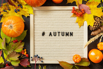Autumn background with Autumn with hashtag letters and autumn message board, pumpkins and colorful leaves. Cozy autumn mood. Fall seasons greeting card.