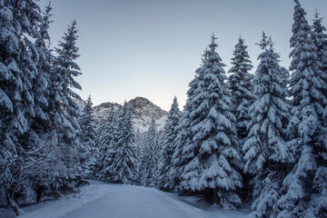 Winter sunrise scenery in mountains Tatras. Covered snow turn of mountain road.  Mountain road and ...