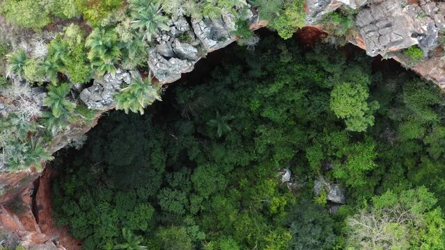 Aerial drone top-down bird's eye rising medium shot of the Lapa Doce cave entrance with a self-contained rainforest below in the Chapada Diamantina National Park in Bahia, northeastern Brazil.