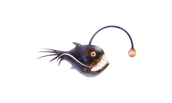 Deep-sea fish (angler fish) illustration