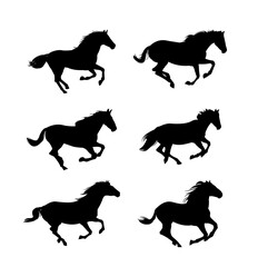Herd of horses gallops fast. Set of objects. Image silhouette. Wild and domestic animals. Isolated on white background. Vector