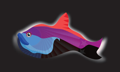 Colorful fish illustration