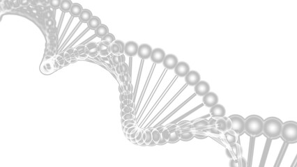 Science Molecular White DNA Model Structure under white flash lighting background. 3D illustration. 3D CG. 3D high quality rendering. PNG file format. - obrazy, fototapety, plakaty