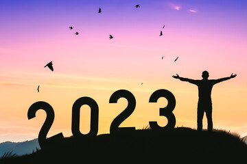 Man raise hand up on sunset sky with birds flying at top of mountain and number 2023 abstract background. Happy new year and holiday concept.