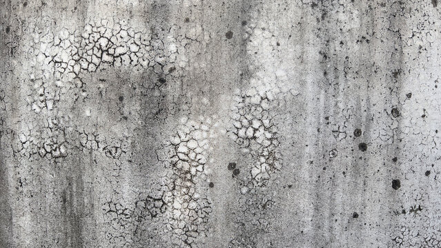 Grunge surface of cement wall