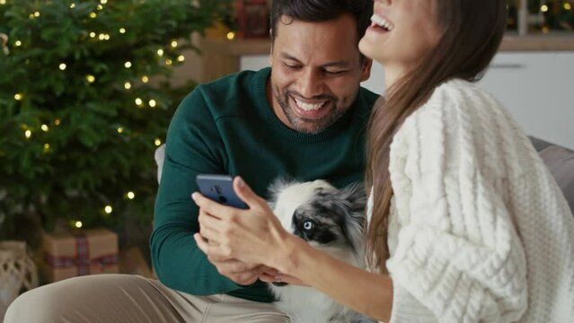 Happy multi ethnicity couple taking picture with dog at home during the Christmas. Shot with RED helium camera in 8K.   