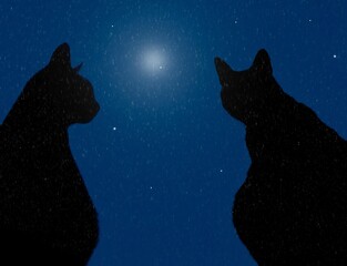 Fototapeta na wymiar cats with falling stars and moon at night