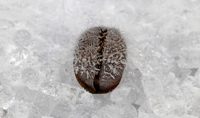 A coffee bean freezing on a layer of ice. Concept of cold drinks.