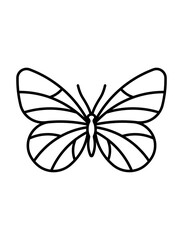 Butterfly line icon. Beautiful machaon butterfly shape with large typically wings and antennae. Thin line butterfly outline icon illustration. Editable stroke.