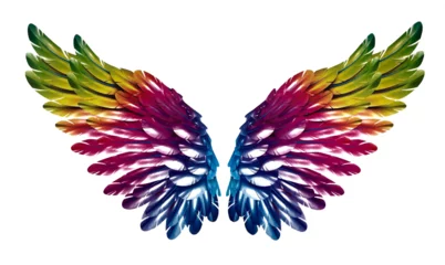 Fotobehang Colourful wings from Museum of Senses, Prague © Glenna