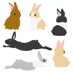 A set of  sitting rabbits,  jumping rabbits, and  backward rabbits