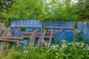 Old iron gate in thickets of grass and trees.
