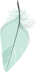 Bird feather in hand drawn element