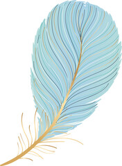 Bird feather in hand drawn element