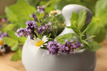 Mortar with fresh lavender, chamomile flowers, herbs and pestle on blurred background, closeup