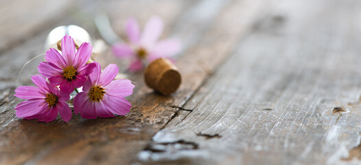 Obraz na płótnie Canvas Beautiful cosmea flowers on a wooden rustic table - background with a lot of copyspace for wellness, spa, gardening, natural cosmetics, alternative medicine