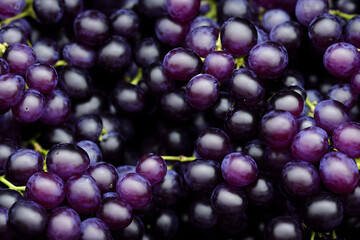 a picture of black grapes, juicy and healthy fruit