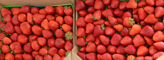 Ripe sweet strawberries at Farmers Market