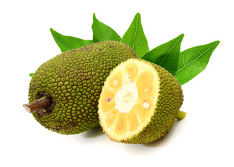 Jackfruit isolated on white background