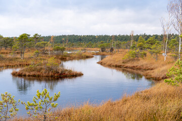 A masterclass in getting it right in nature. The Latvian countryside at Kemeri National Park is truly spectacular.