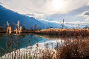 Obraz premium Varces et Allières France 11/2021 Etangs du Noiret, jeux de réflexion dans l'eau, reflets des montagnes enneigées, des roseaux et du ciel dans l'étang