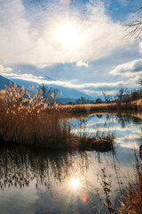 Varces et Allières France 11/2021 Etangs du Noiret, jeux de réflexion dans l'eau, reflets des montagnes enneigées, des roseaux et du ciel dans l'étang