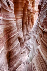 Fototapeten Zebra Canyon in Utah © Fyle