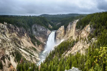 Foto op Canvas Lower Falls in Yellowstone National Park © Fyle